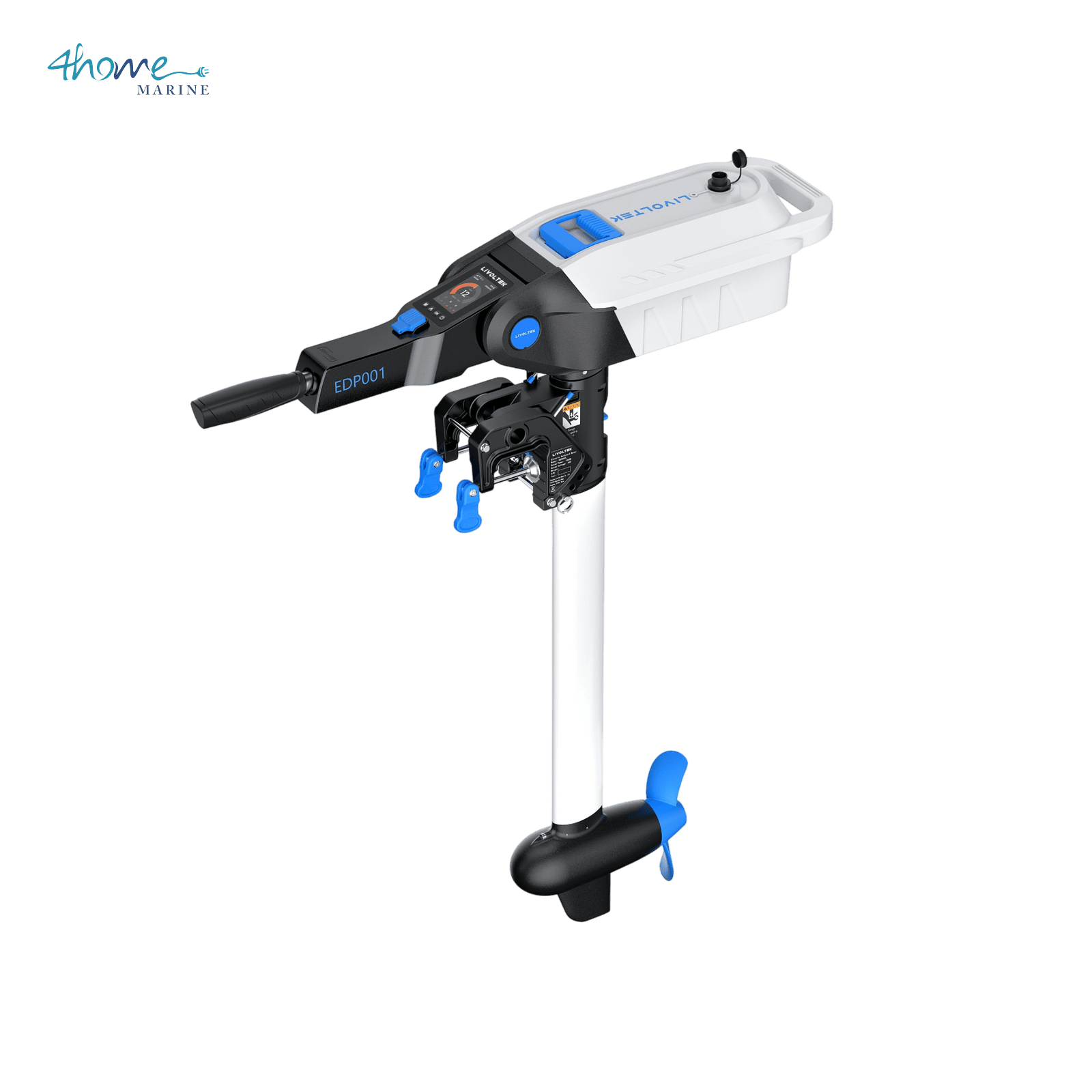 Motor Dolphin